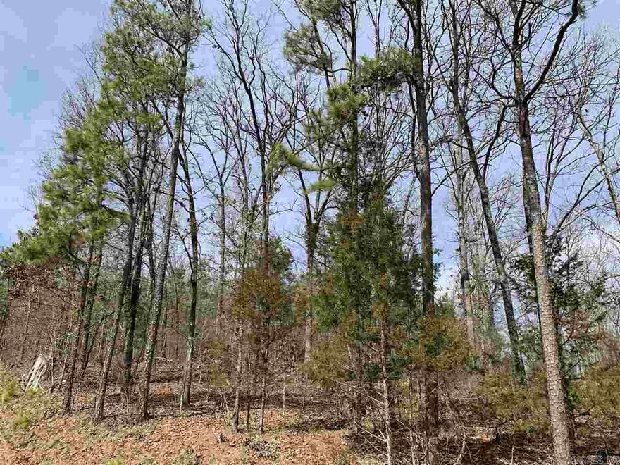 Great Lot in a desirable neighborhood for building a nice home! Super quiet area. Watersedge is very close to the town of Greers Ferry and Fairfield Bay .  Close to ATV, hiking, and mountain biking trails. The Little Red River is minutes away!