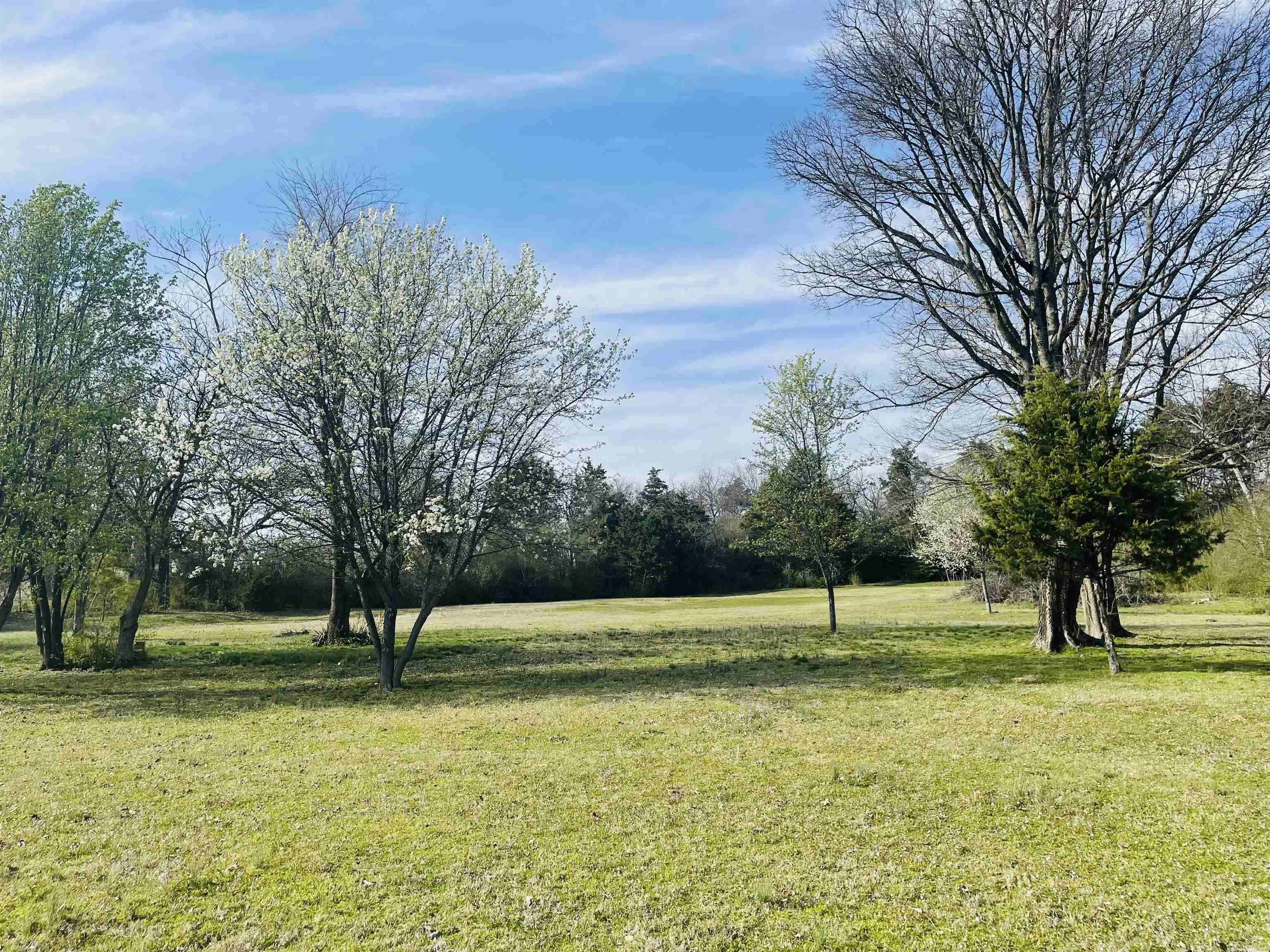 A rare opportunity -- 2.5 acres in the city limits. There is a Conway Corp water meter and tap on site with Conway Corp electricity at the property line. There was a successful perc text performed in 2023. Fully fenced with ample trees and privacy. Zoned A-1, which allows for residential build plus a larger outbuilding allowance. Perfect property for a barndominium, house with shop or other custom build (no HOA/POA restrictions). This lot could be subdivided for multiple homes if a developer would like to build homes to accommodate the recent Chamber report stating Conway needs an additional 900 lots to meet our housing demands over the next five year period.