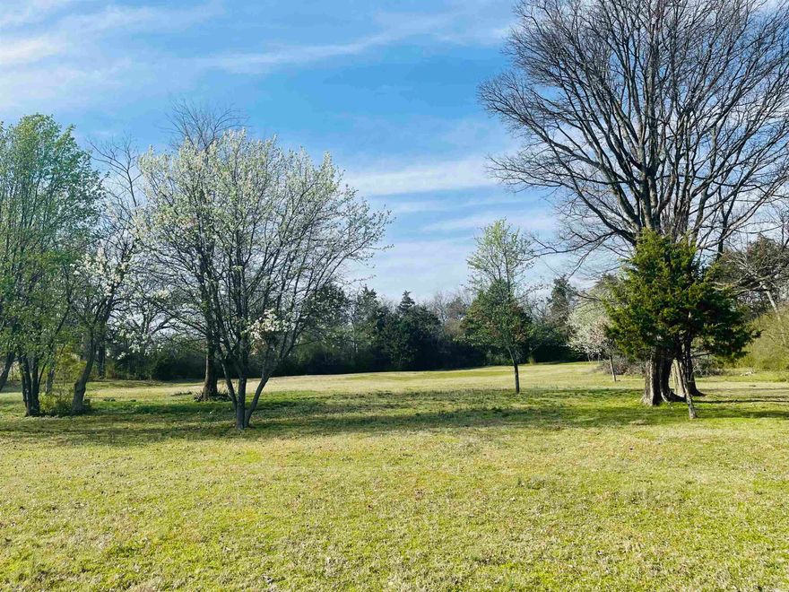 A rare opportunity -- 2.5 acres in the city limits. There is a Conway Corp water meter and tap on site with Conway Corp electricity at the property line. There was a successful perc text performed in 2023.  Fully fenced with ample trees and privacy.  Zoned A-1, which allows for residential build plus a larger outbuilding allowance. Perfect property for a barndominium, house with shop or other custom build (no HOA/POA restrictions).  This lot could be subdivided for multiple homes if a developer would like to build homes to accommodate the recent Chamber report stating Conway needs an additional 900 lots to meet our housing demands over the next five year period.