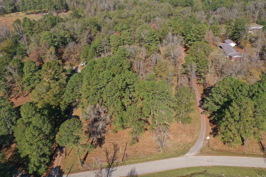 1.73 Acres of wooded land near the Glenwood City Park. Some utilities are available but not on the property. In the Crawford's Subdivision, City Glenwood.