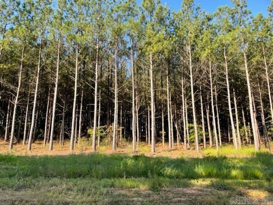 Beautiful building lot in Conway Public School system. Mostly cleared.