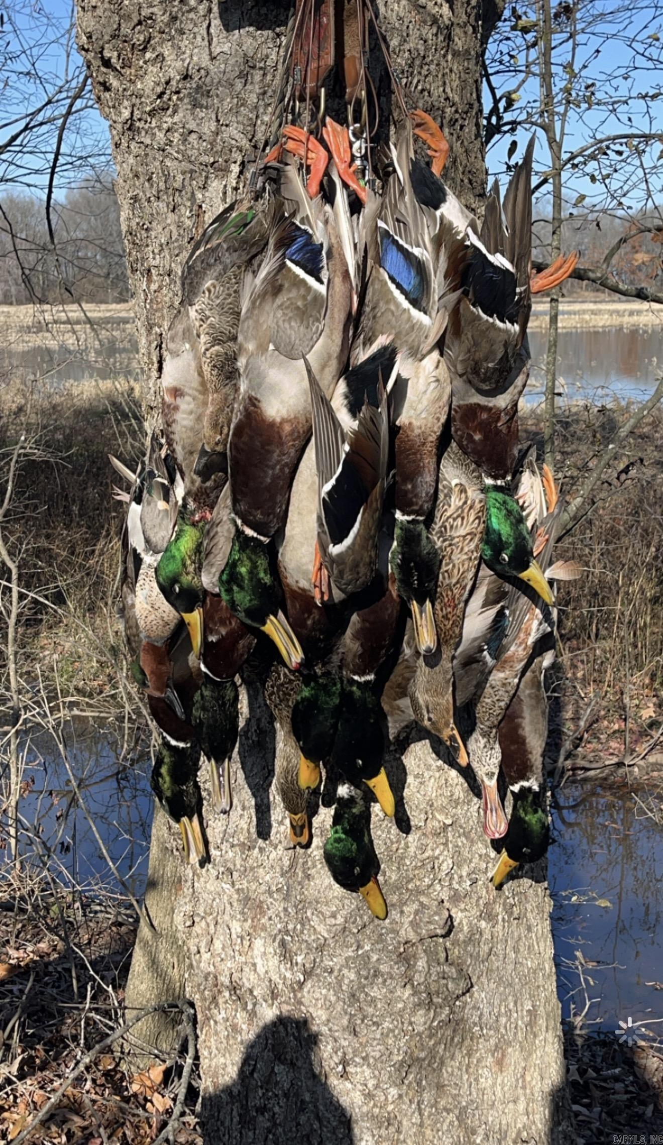 Metes & Bounds - Land