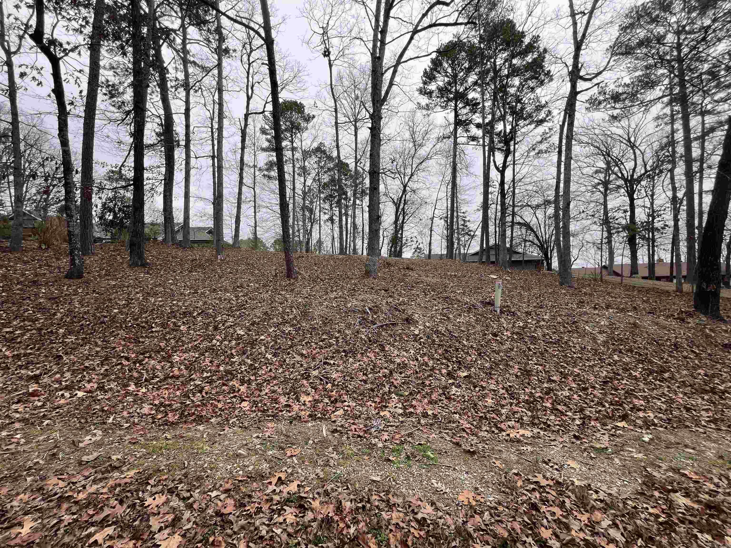 This stunning waterfront lot on Lake Coronado offers just under half an acre of prime lakeside property. Partially cleared and ready for your dream home, it features a sturdy seawall, ensuring shoreline protection and enhancing the picturesque setting. Enjoy breathtaking lake views, direct water access, and the tranquility of this sought-after location. Perfect for those looking to build a lakeside retreat in a serene and scenic environment. Hot Springs Village is the home to 11 lakes, 9 golf courses and a host of other amenities.