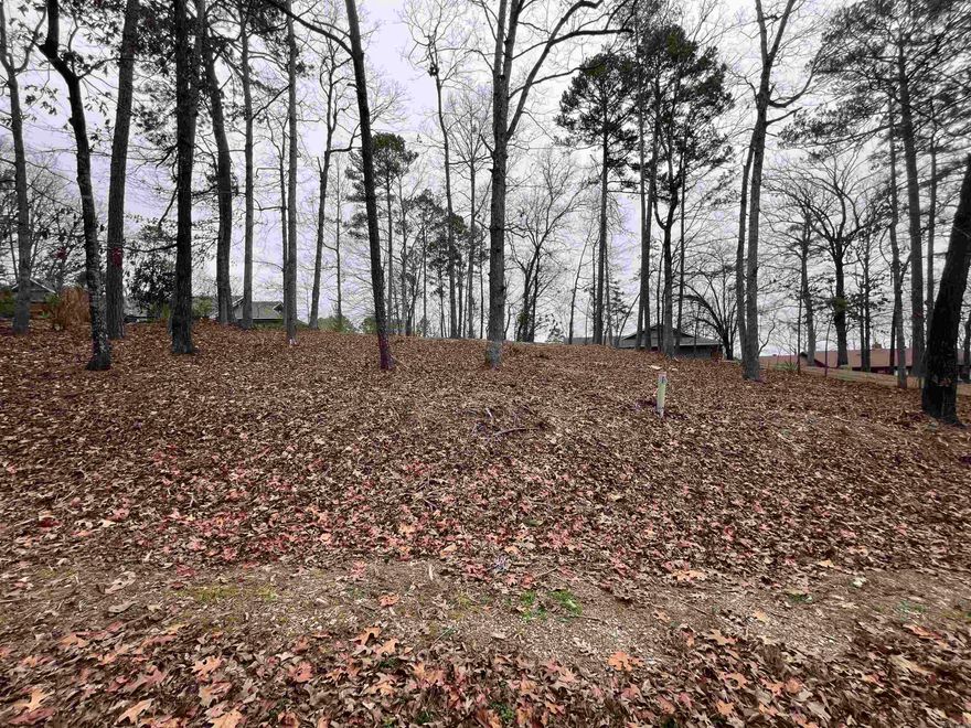 This stunning waterfront lot on Lake Coronado offers just under half an acre of prime lakeside property. Partially cleared and ready for your dream home, it features a sturdy seawall, ensuring shoreline protection and enhancing the picturesque setting. Enjoy breathtaking lake views, direct water access, and the tranquility of this sought-after location. Perfect for those looking to build a lakeside retreat in a serene and scenic environment.  Hot Springs Village is the home to 11 lakes, 9 golf courses and a host of other amenities.