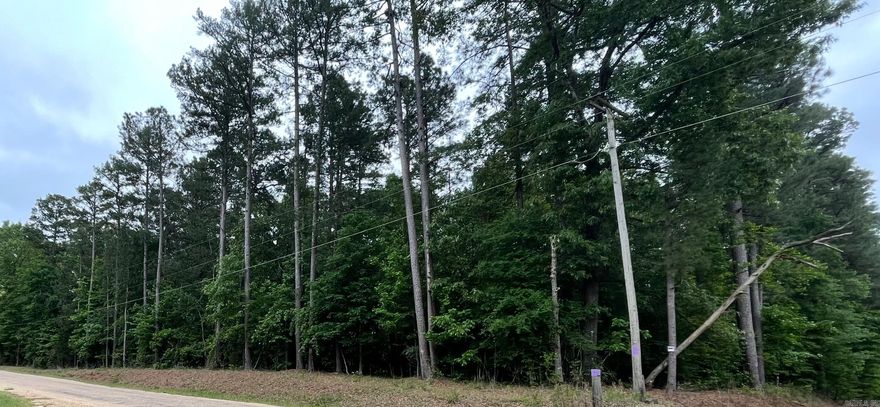 This beautiful piece of property features 40-year-old mature hard wood and pine timber on approximately 53 acres of the total acreage, offering both natural charm and long-term value. A small creek winds through part of the land, adding a peaceful touch and attracting local wildlife, making it ideal for hunting or a private getaway. Whether you're looking for a serene homesite or a versatile outdoor retreat, this property has everything you need. Square footage, lot size, and acreage is taken from courthouse records.