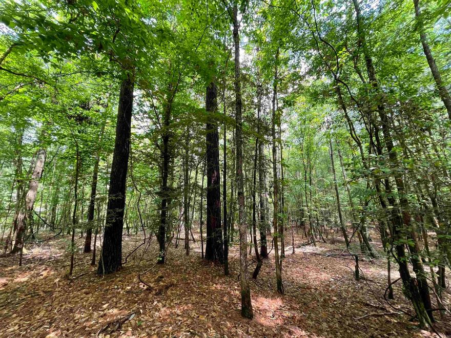 This beautiful piece of property features 40-year-old mature hard wood and pine timber on approximately 53 acres of the total acreage, offering both natural charm and long-term value. A small creek winds through part of the land, adding a peaceful touch and attracting local wildlife, making it ideal for hunting or a private getaway. Whether you're looking for a serene homesite or a versatile outdoor retreat, this property has everything you need.