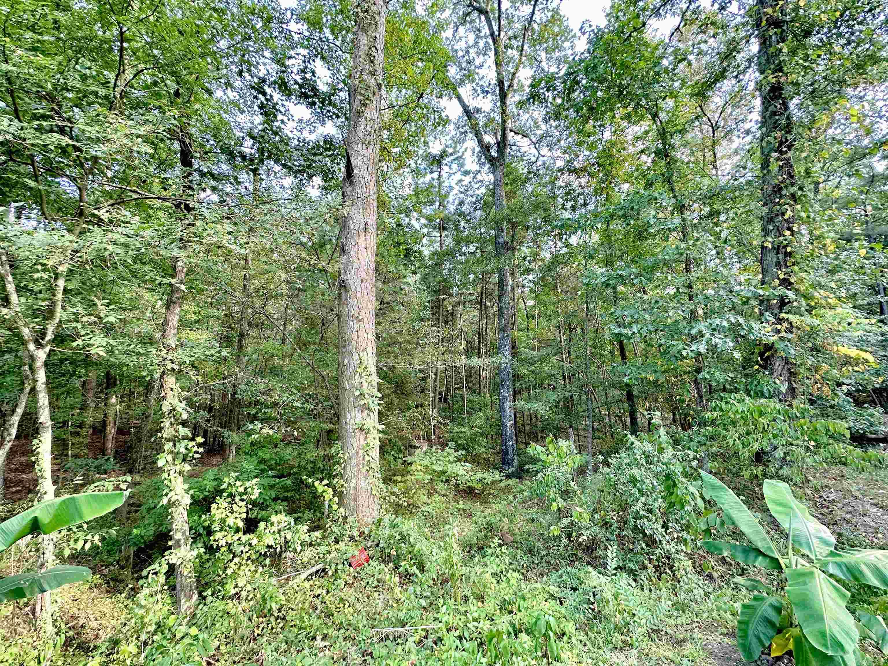 Rolling Hills East - Residential