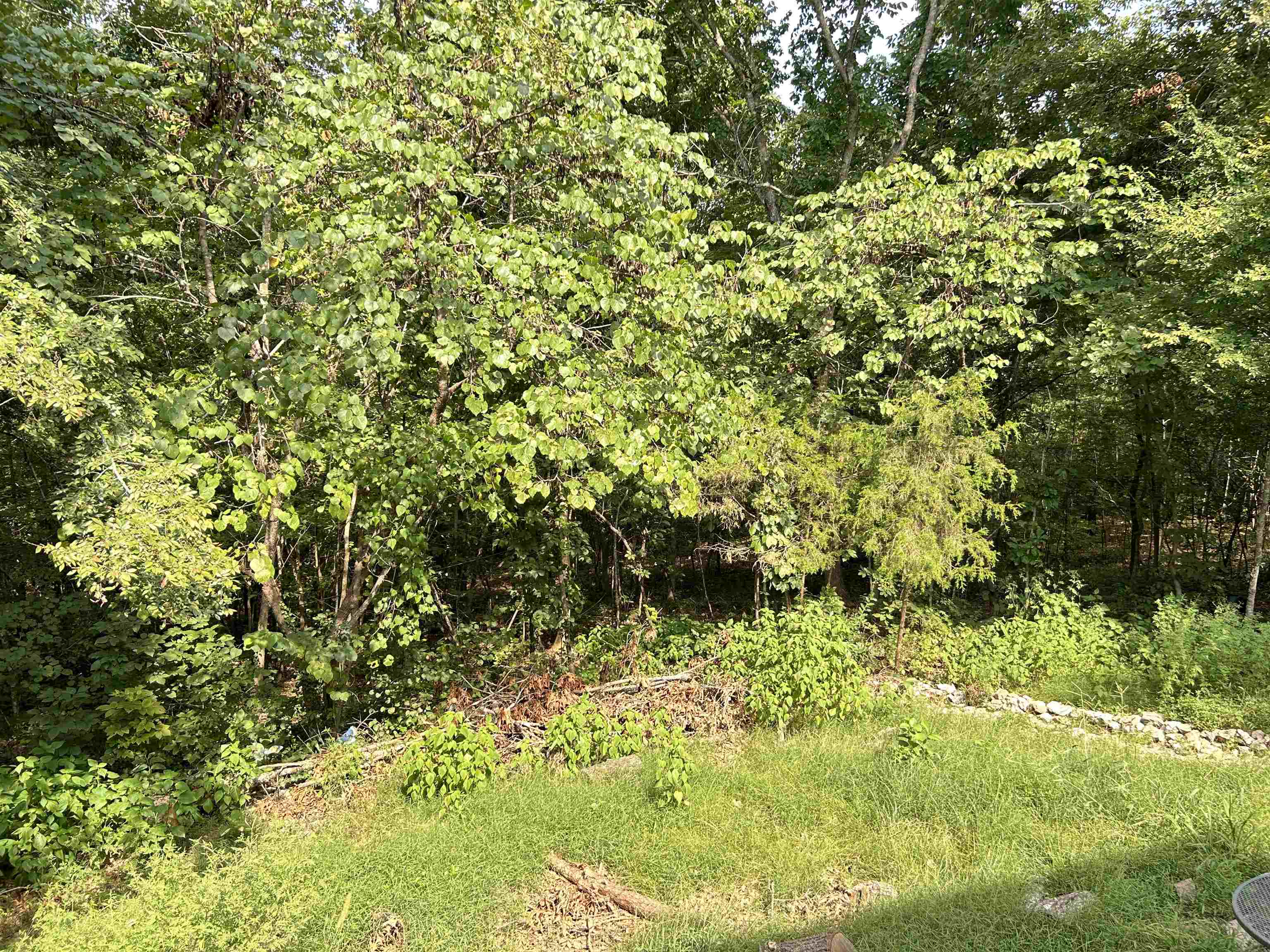 Ojibway First - Residential