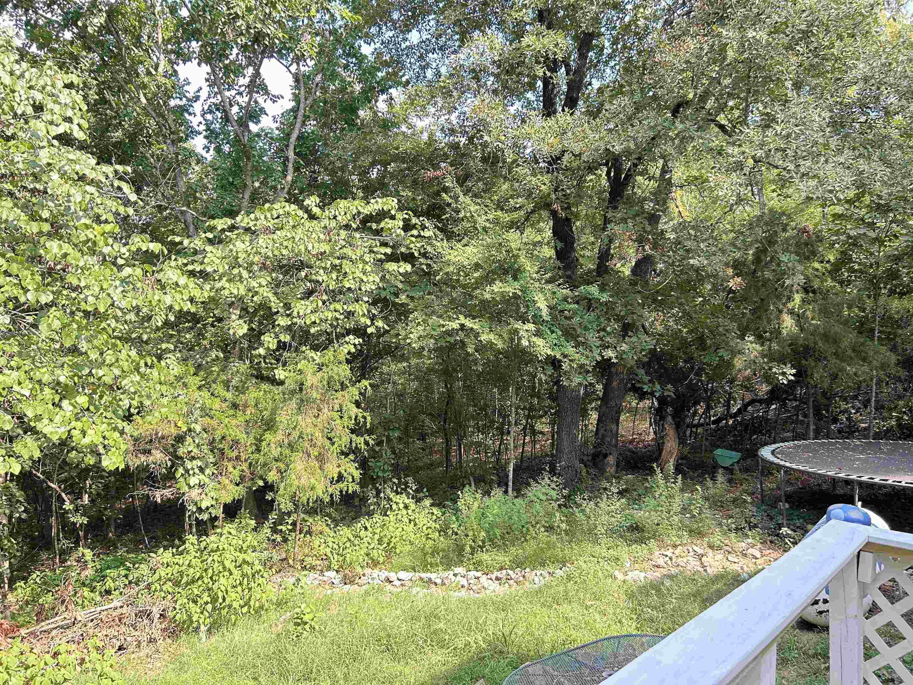 Ojibway First - Residential