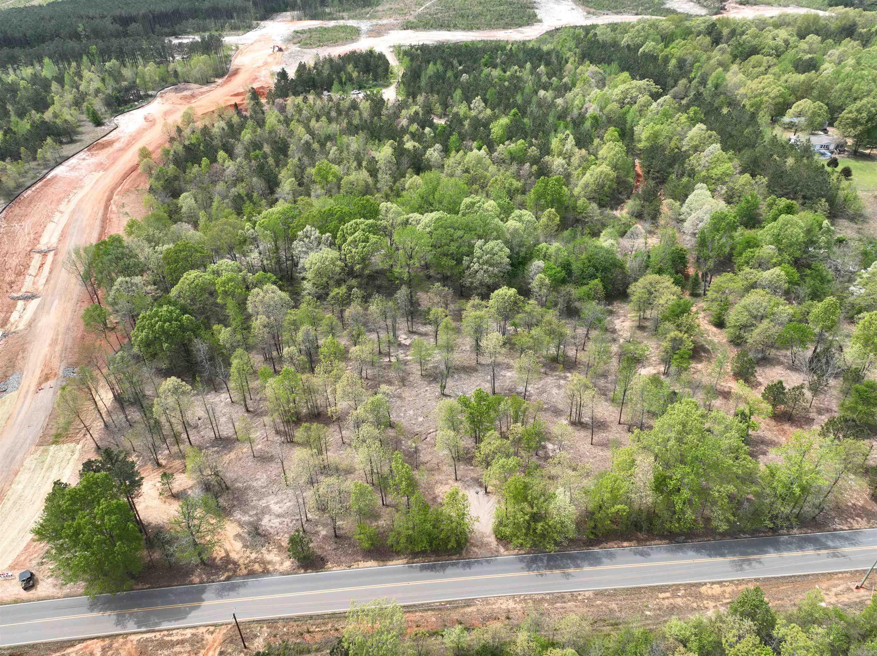 Mountain Pine - Land