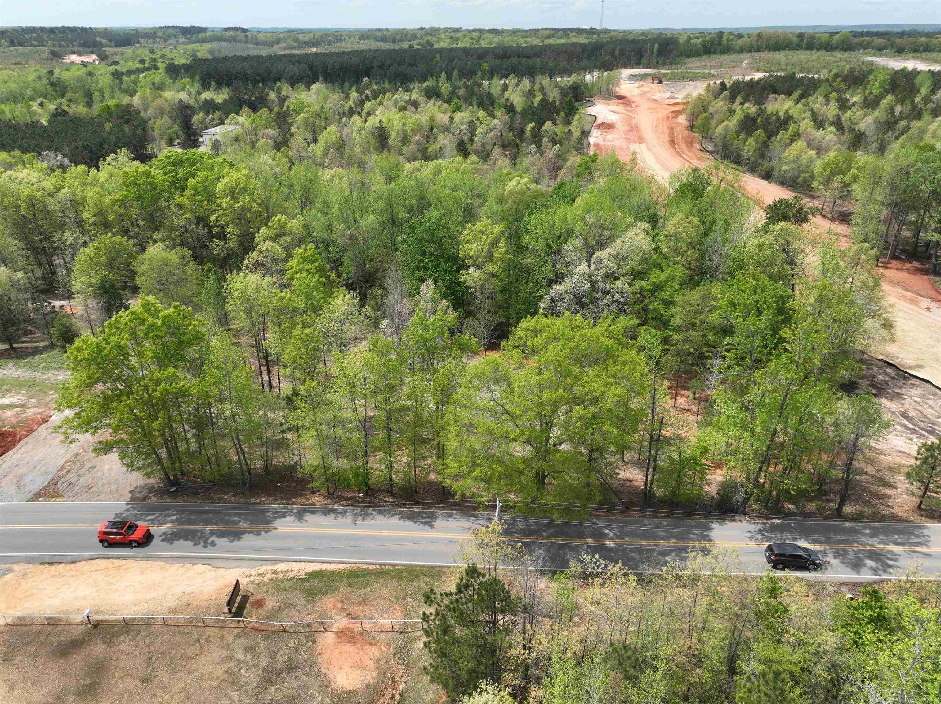 Mountain Pine - Land