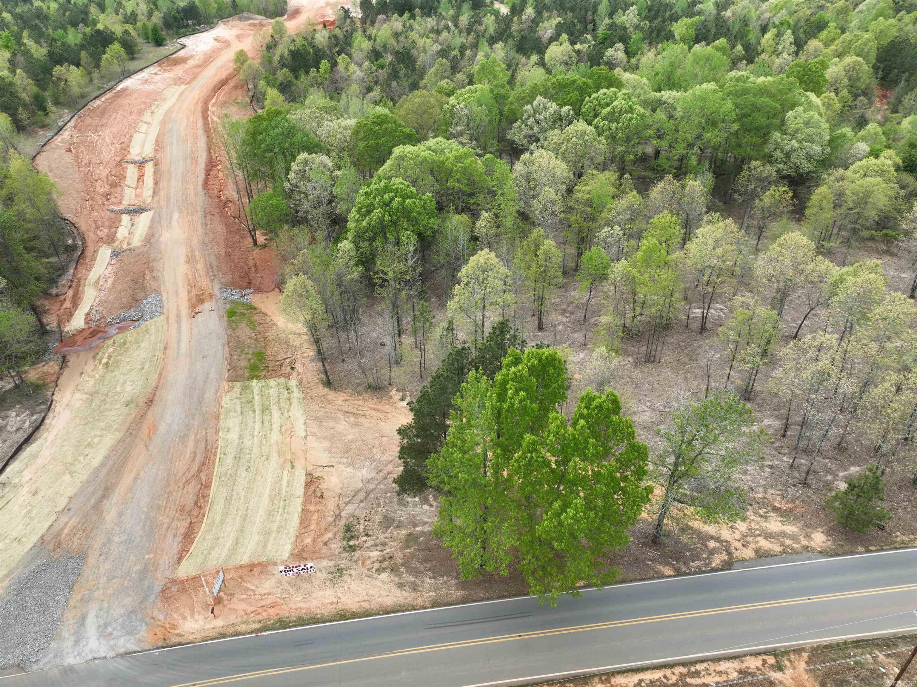 Mountain Pine - Land