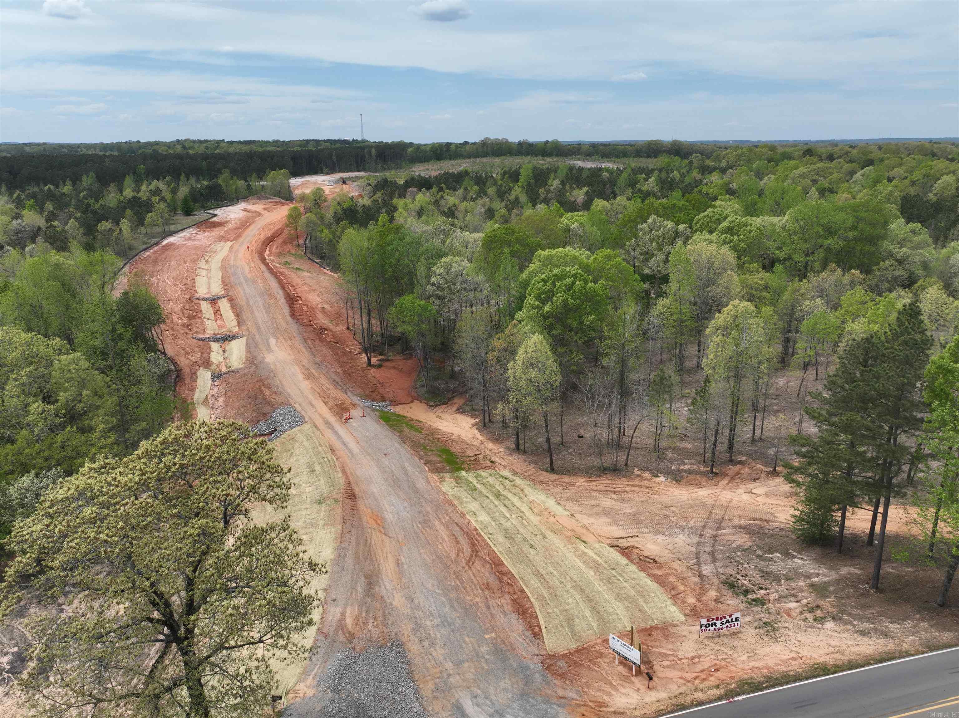 Mountain Pine - Land