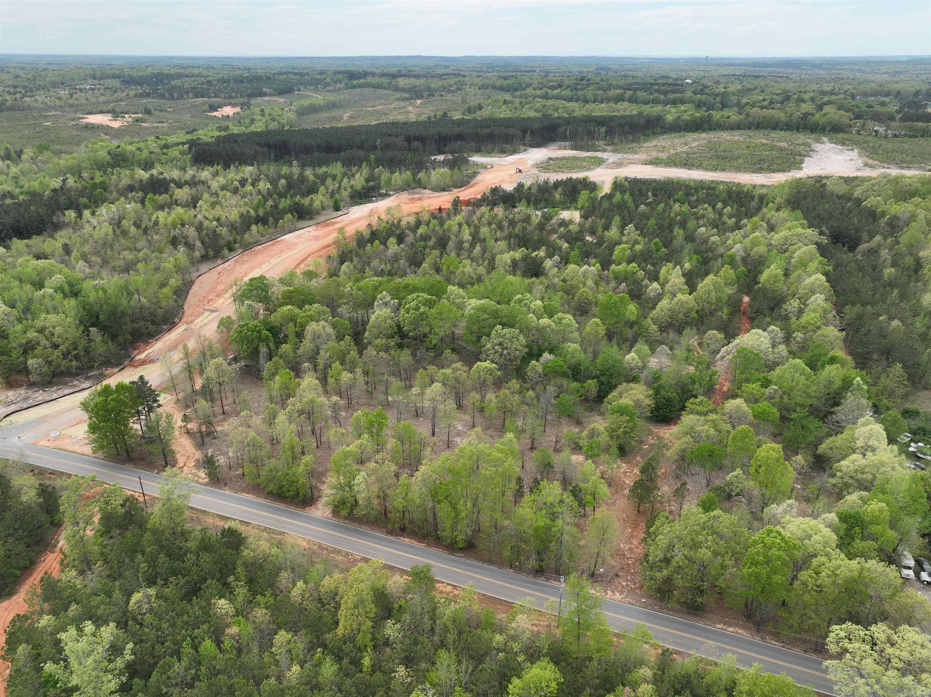 Mountain Pine - Land