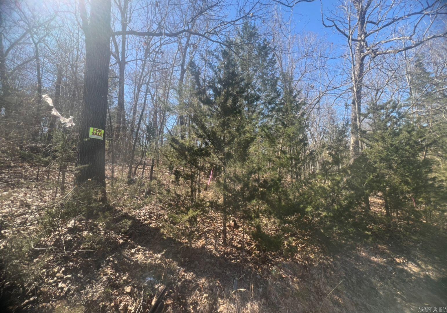 Owner Financing is available. This wooded lot is zoned for a mobile home and has utilities nearby! Horseshoe Bend is the largest town in Izard County, with 2,180 residents. Come and enjoy the gorgeous view and a slower pace of life. You can stay for a week or call it home; the choice is yours. Horseshoe Bend has so much to do for the whole family like fishing, canoeing, golfing, bowling, swimming, etc.: With a few Lakes and restaurants to choose from for the entire family. I also have lots where you can build your dream home or place a cabin all over Horseshoe Bend. The Horseshoe Bend Water Department will have Water & Sewer information for you concerning water service and trash service. That number is 870-670-5885 or you can email at water@cityhsb.org The electricity is provided by North Arkansas Electric Cooperative. Their number is 870-895-3221. Here is your opportunity to buy a beautiful piece of land in Horseshoe Bend. It is the perfect place to build or use as a vacation spot for yourself or your family. Hold onto for yourself or give it to your kids down the road. This is a lot that everyone can enjoy for years and years to come.
