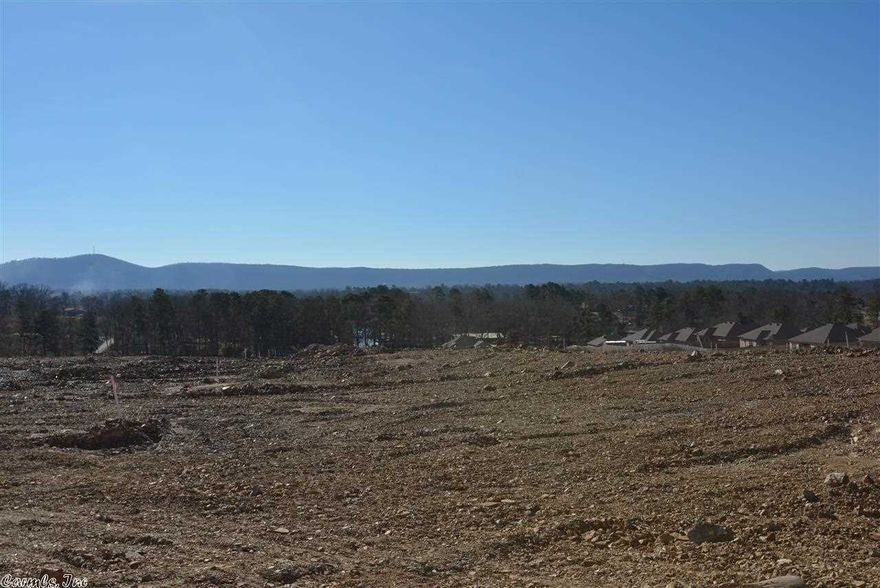 New Construction Home in Hamilton Park with a Phenomenal Vista View of Mt. Riante! Featuring an Open Floor Plan with 10" Ceilings in the Great Room, Beautiful Kitchen with Dark Stained Cabinetry, Modern Counters, 19" Tile Floors and a Walk-In Pantry! The Dining Area overlooks the Big Back Yard and has a Big View of the Mountains! The Master Suite is Spacious and offers His & Her Walk-In Closets, Dual Sinks, Walk-In Shower + a Jetted Tub. The Guest Bedrooms are 11x13. Covered Back Patio. Must See!