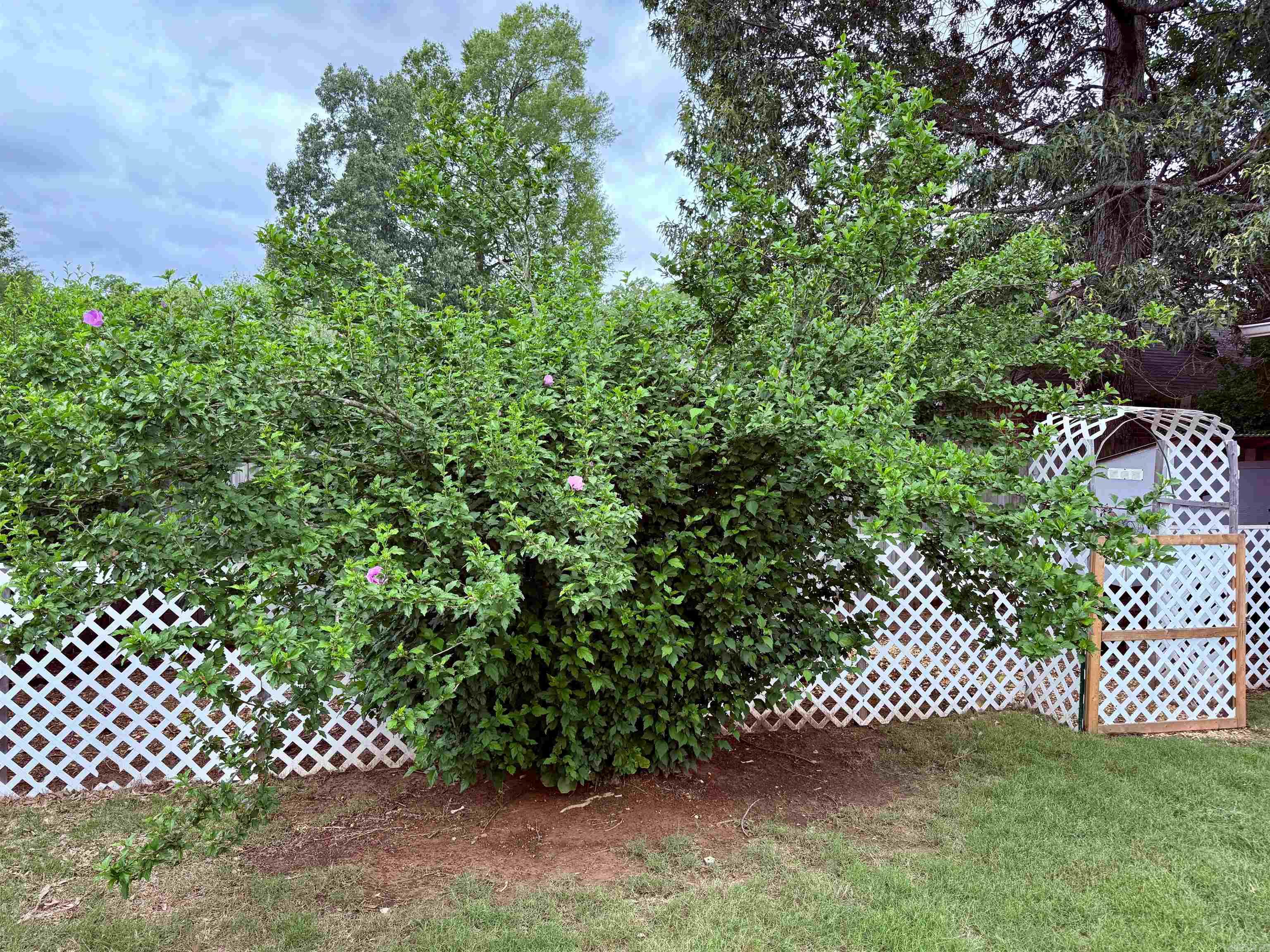 TURTLE CREEK - Residential