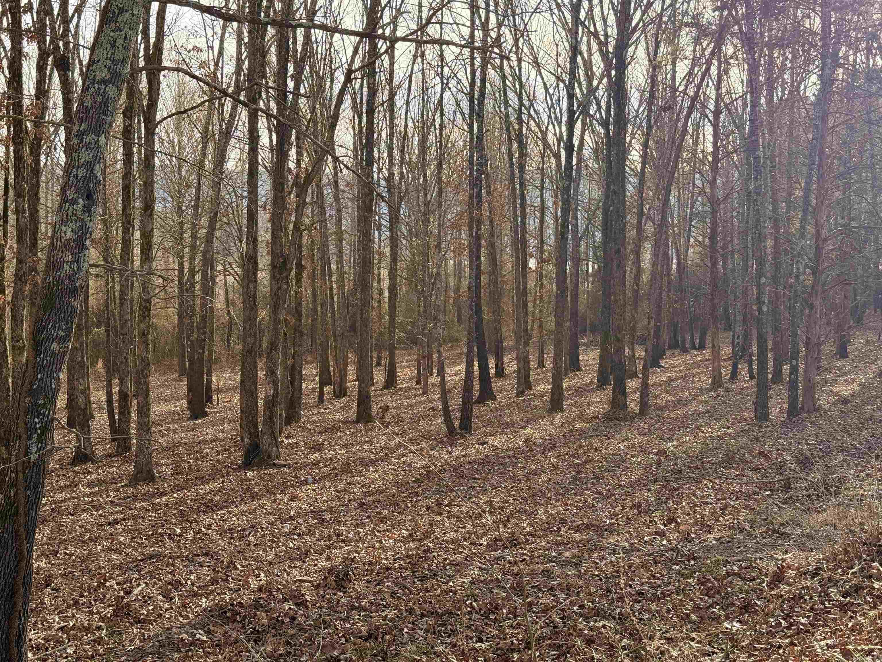 Metes & Bounds - Land