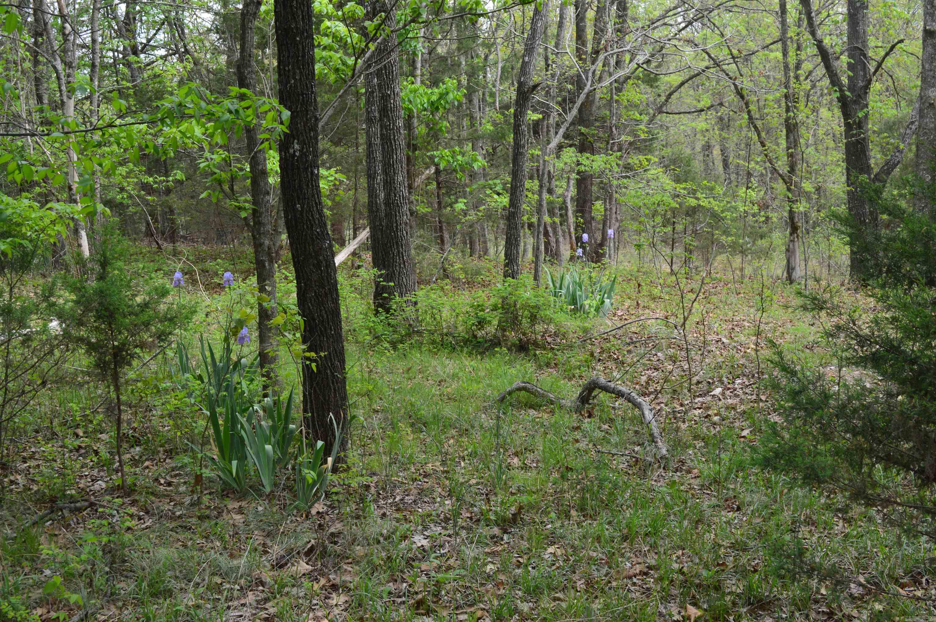 Not in Subdivision - Land