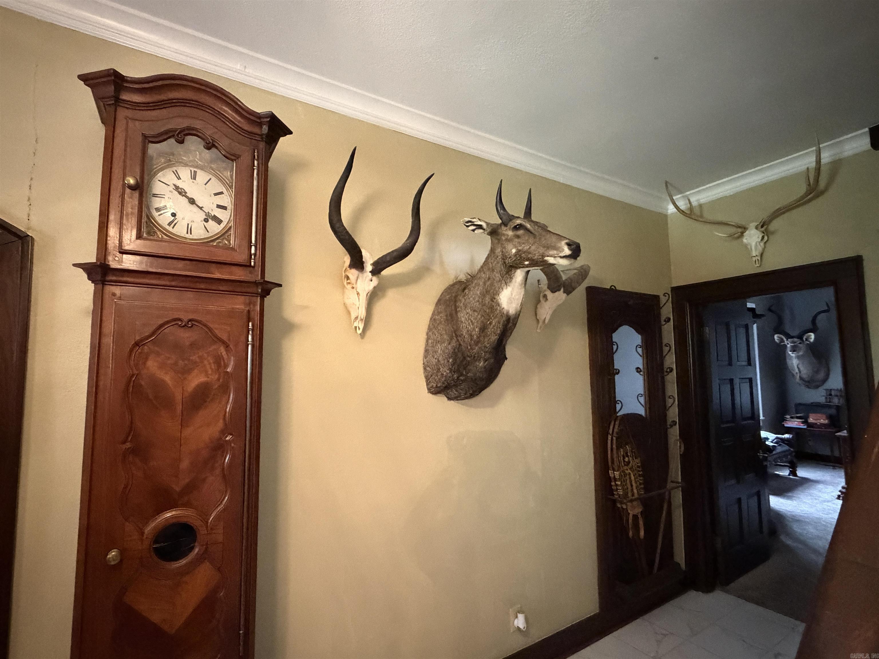 CITY OF RISON - Residential