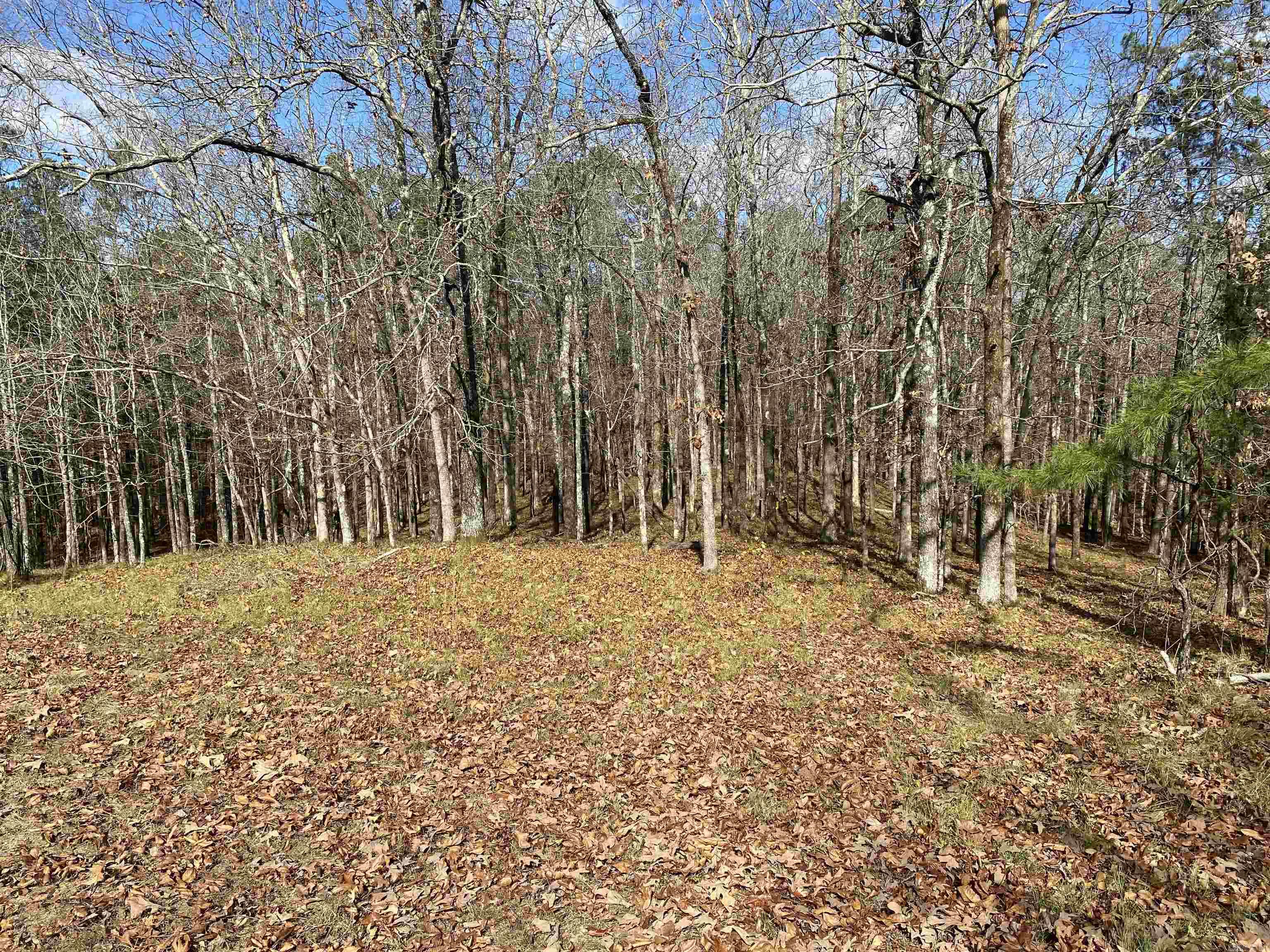 DIAMONDHEAD N - Land