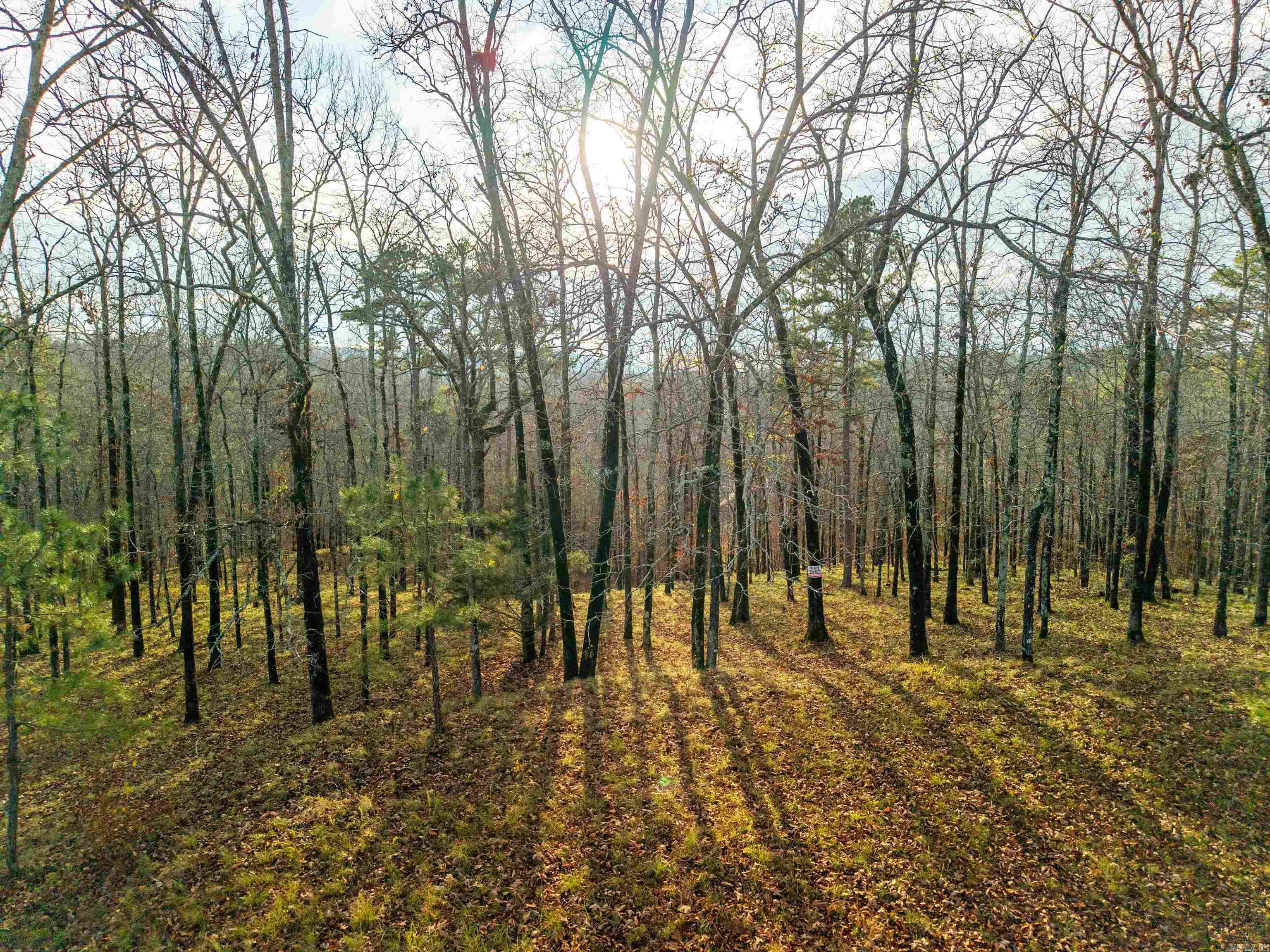 DIAMONDHEAD N - Land