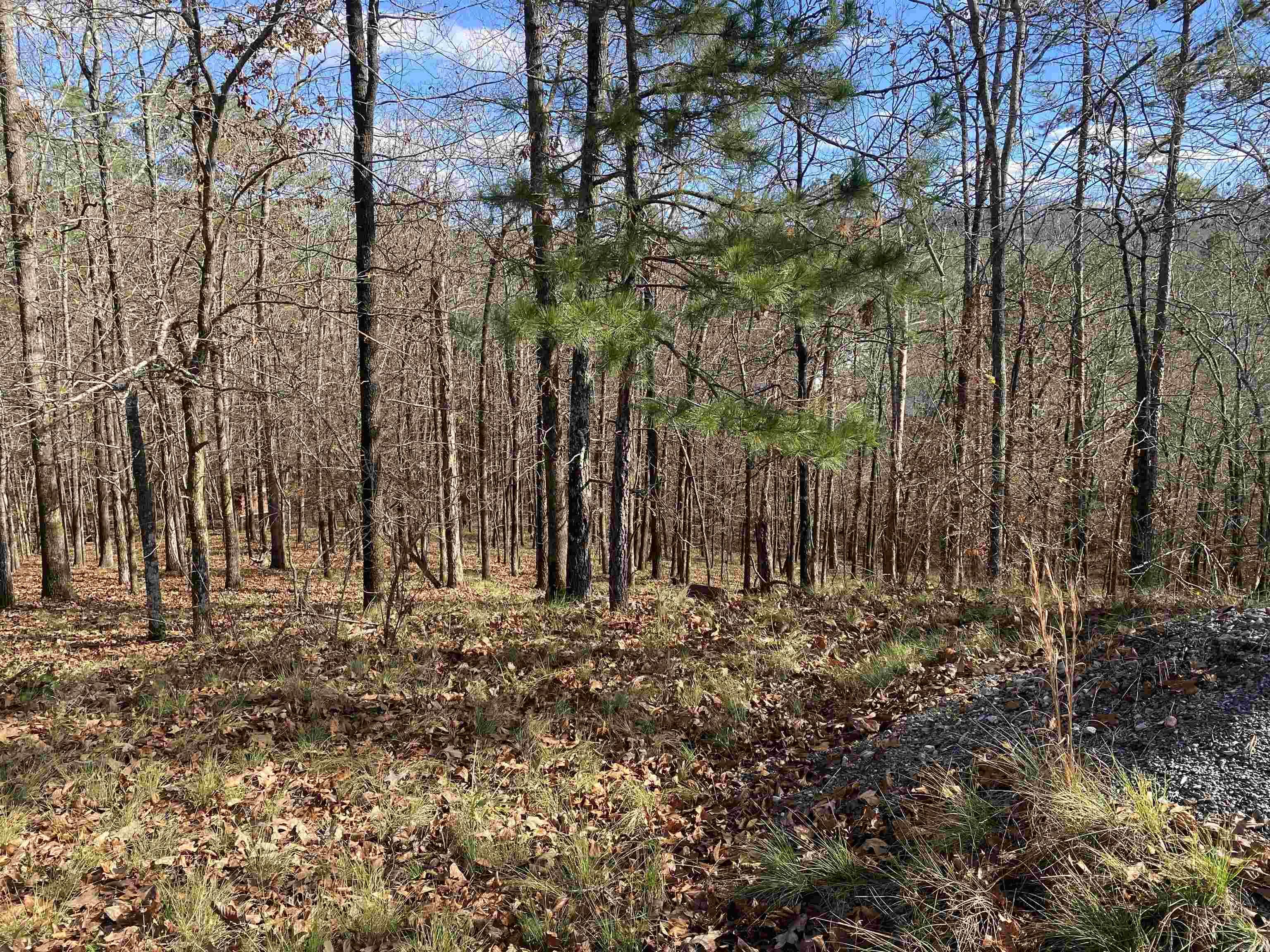DIAMONDHEAD N - Land