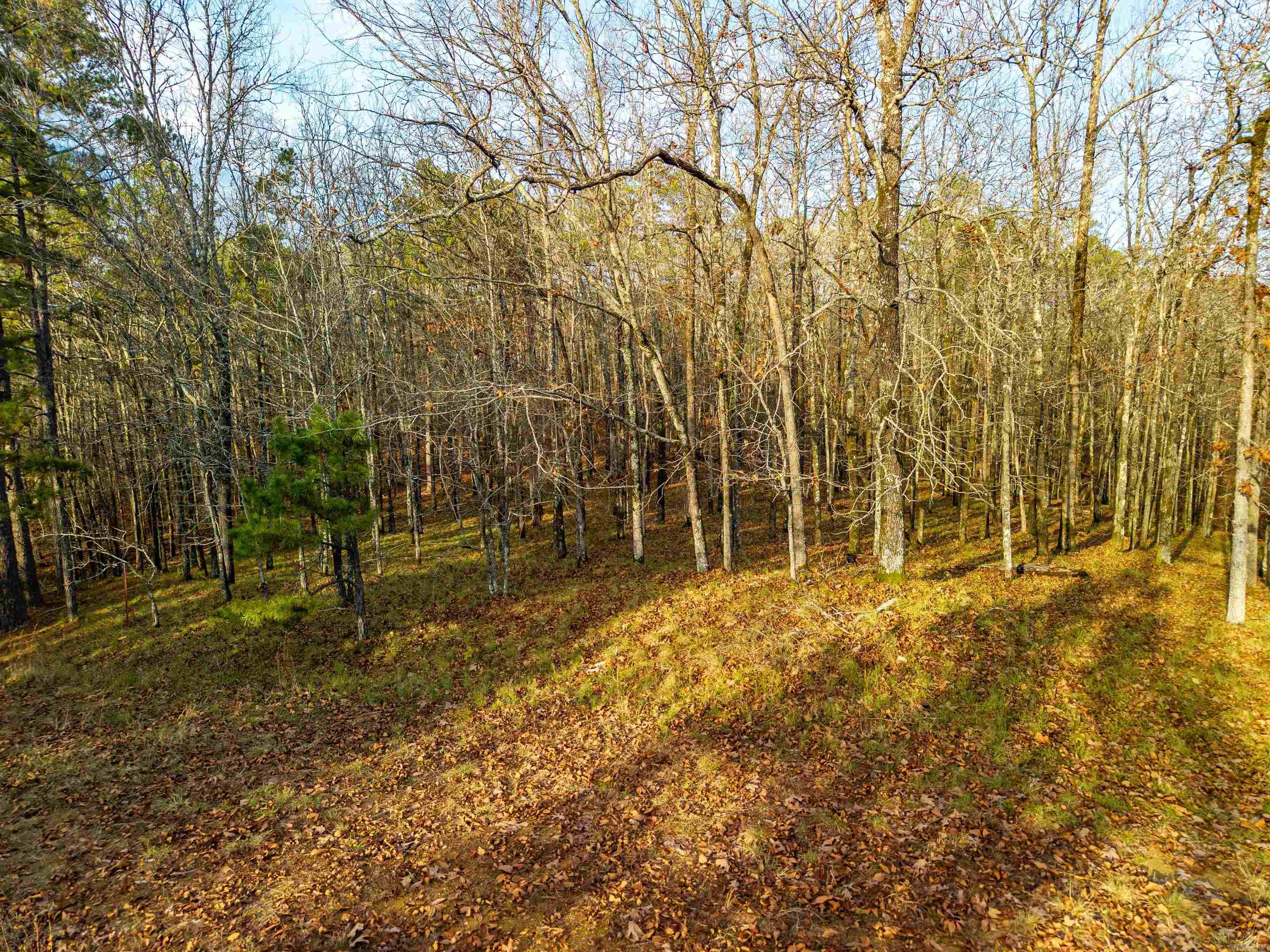 DIAMONDHEAD N - Land