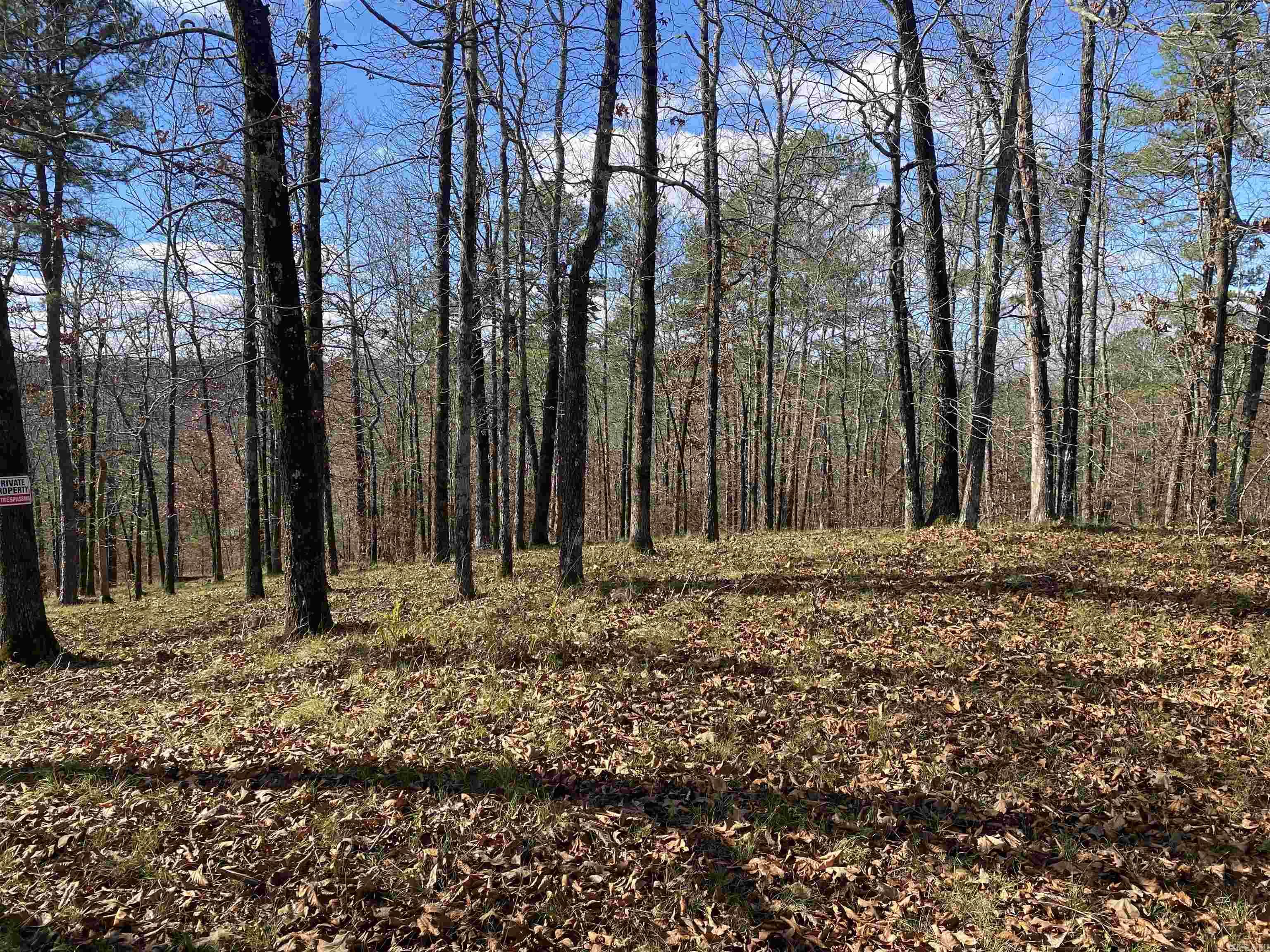 DIAMONDHEAD N - Land