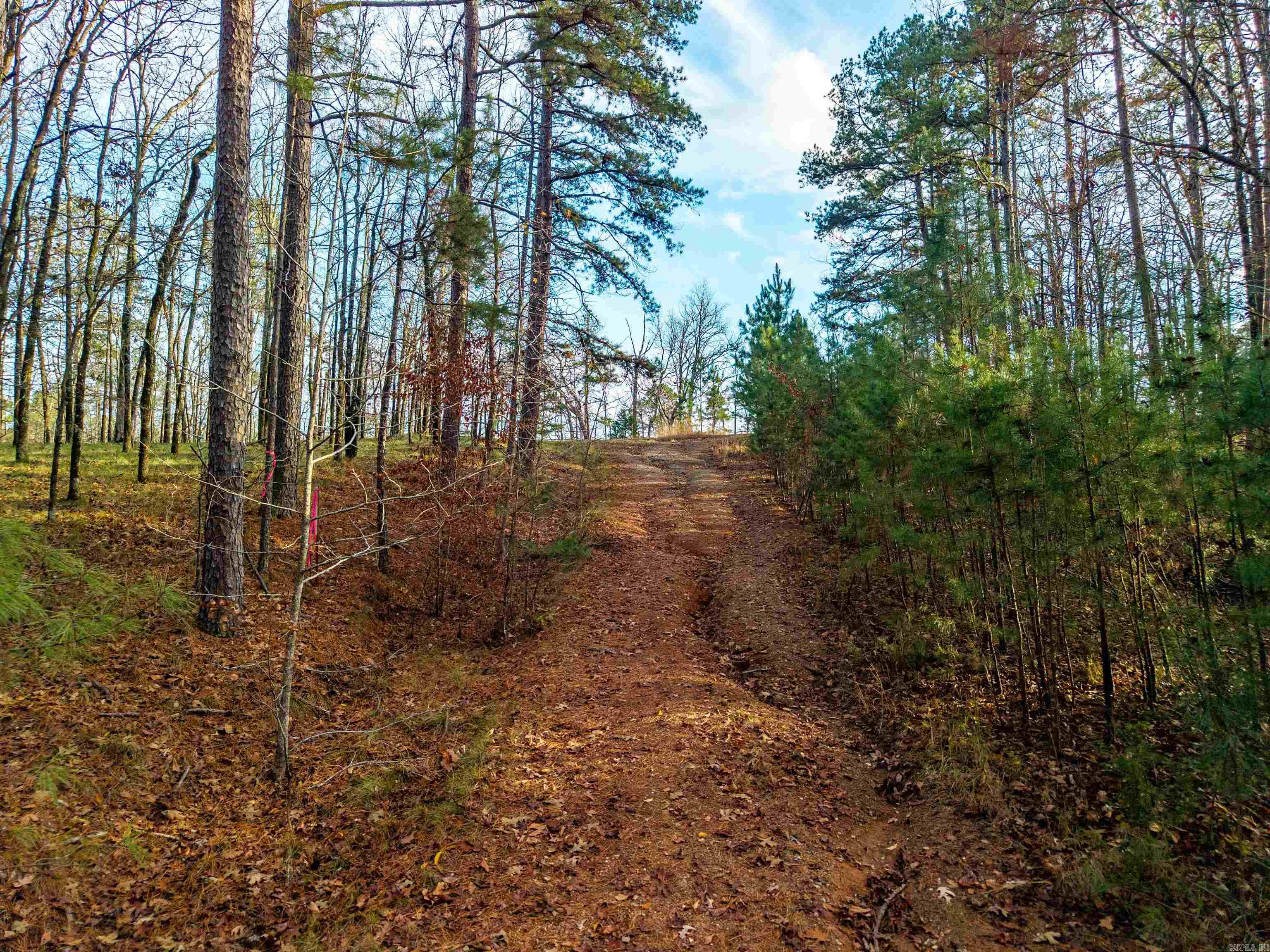 DIAMONDHEAD N - Land