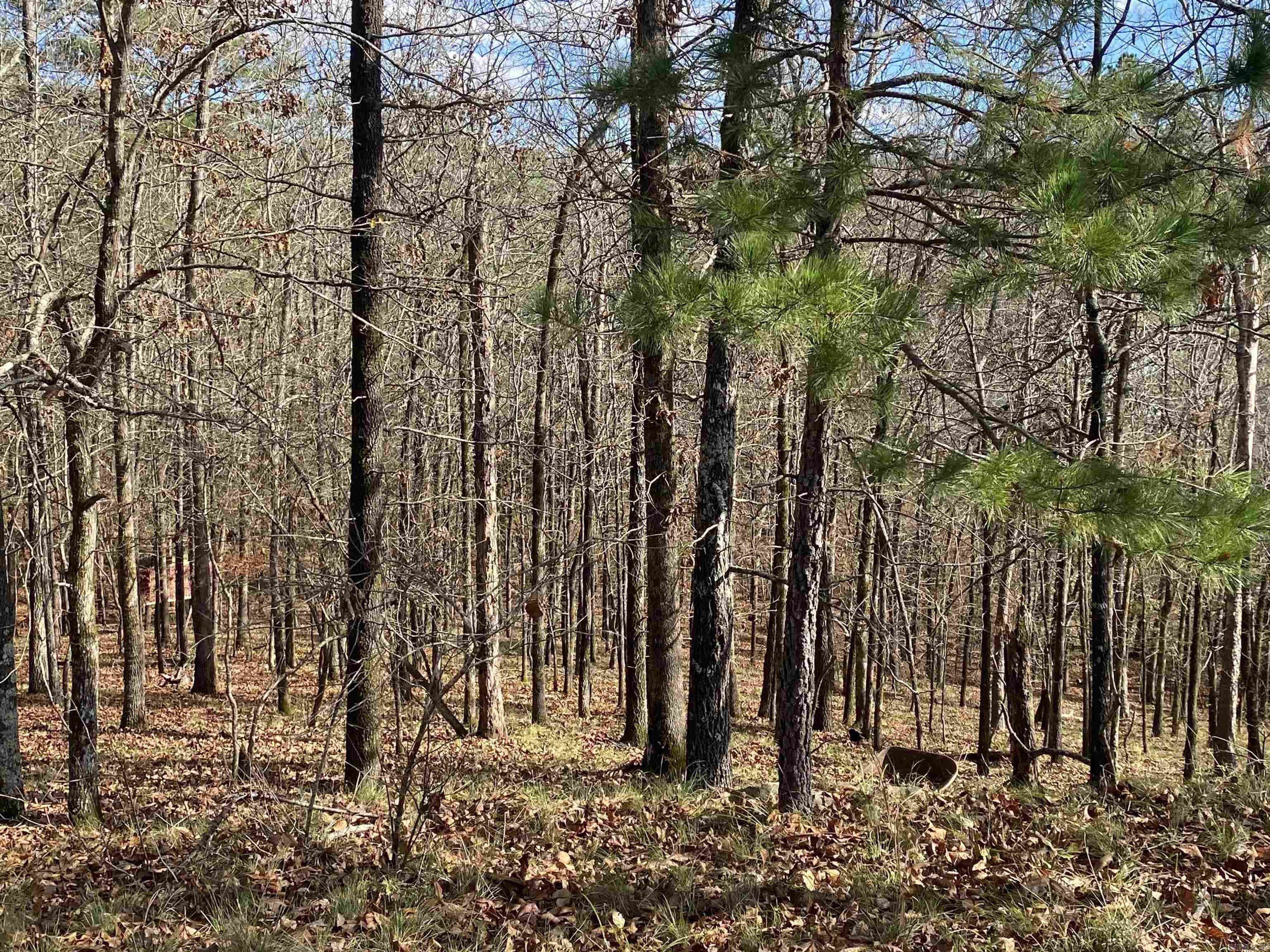 DIAMONDHEAD N - Land