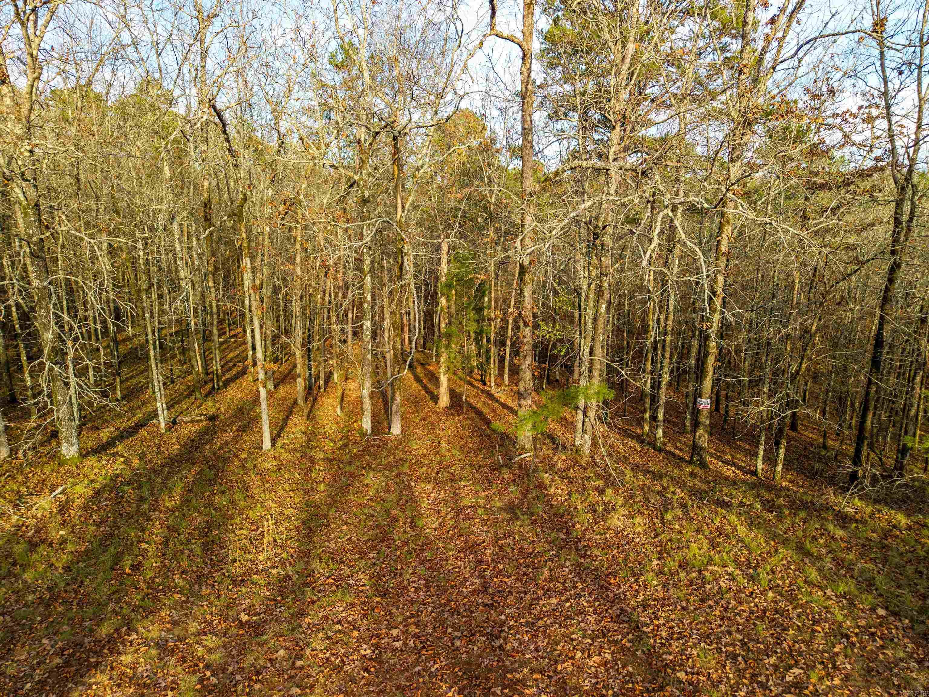 DIAMONDHEAD N - Land