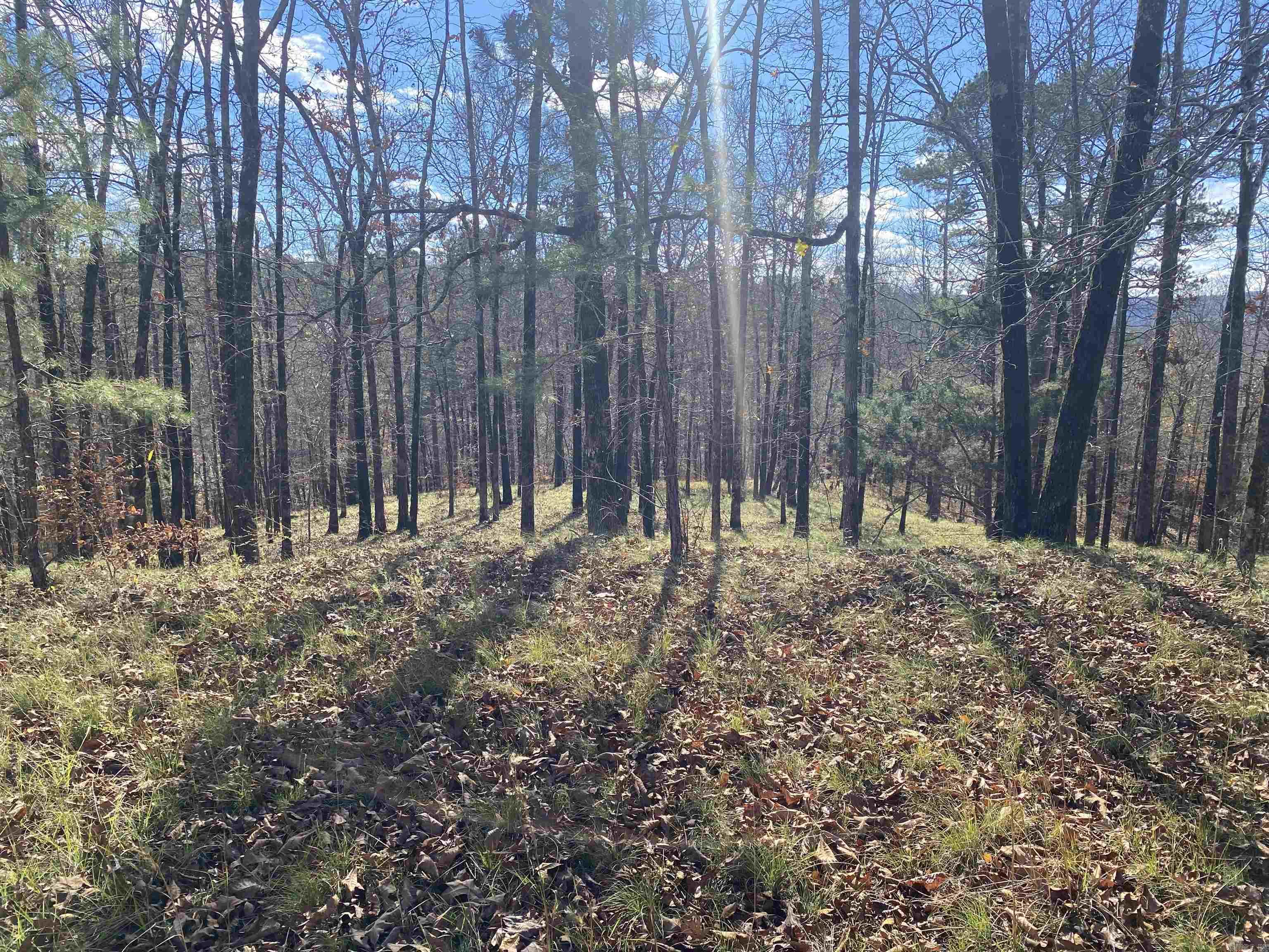 DIAMONDHEAD N - Land