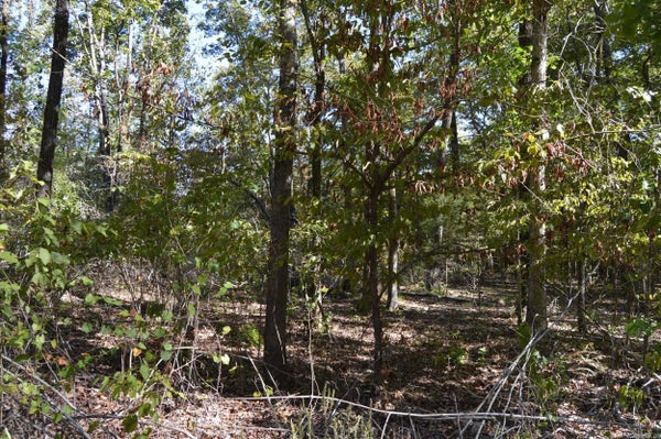 00 KELLEY, ALEXANDER, AR 72002 - Image cd81ba172ff42bb3f42e2d54e44a7bd4/2239449384