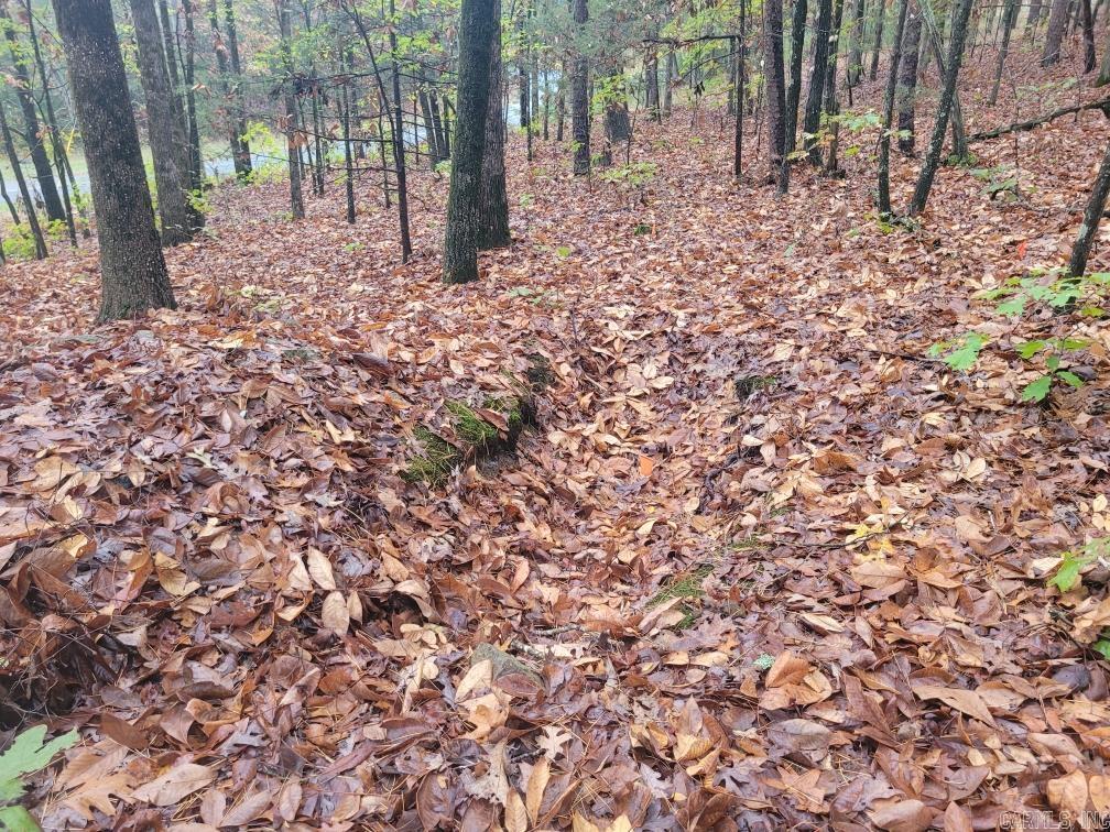 Pine Hills Estates - Land