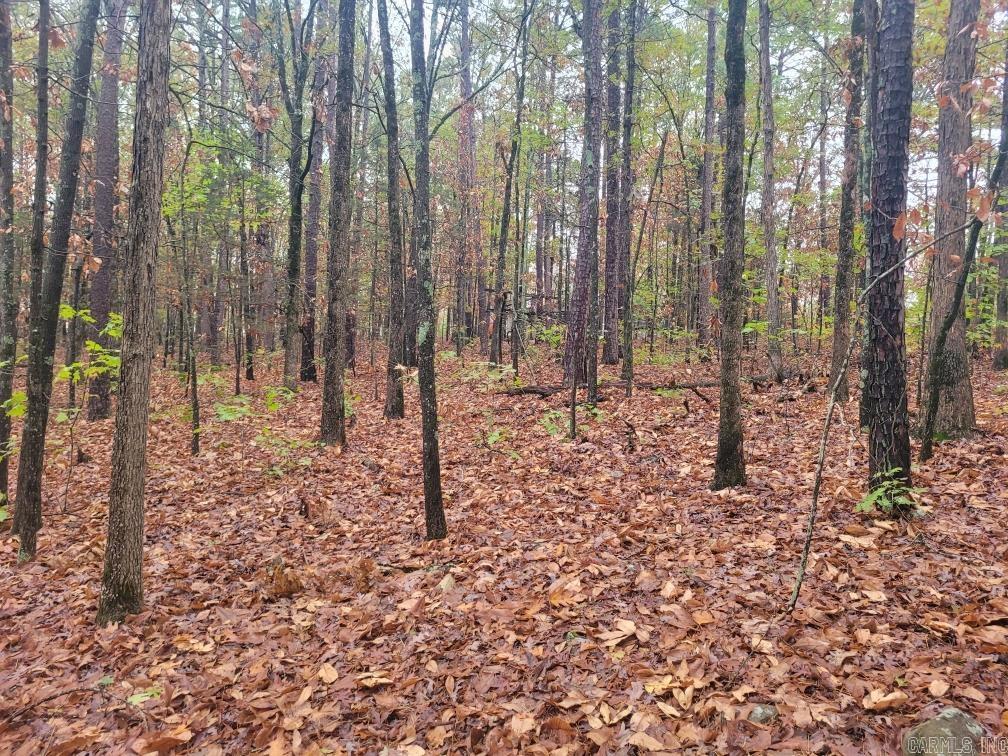 Pine Hills Estates - Land