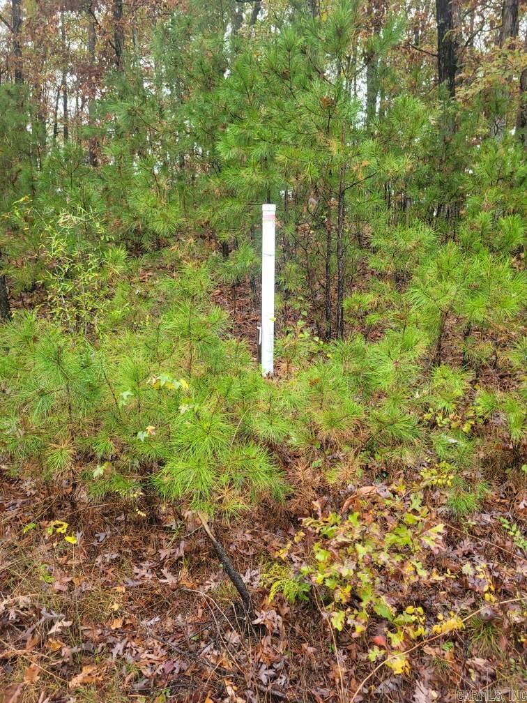 Pine Hills Estates - Land