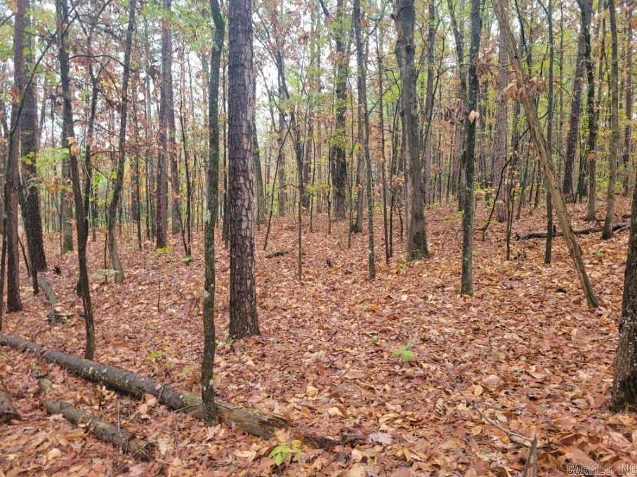 Pine Hills Estates - Land