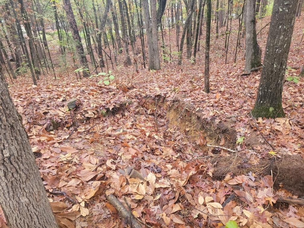 Pine Hills Estates - Land