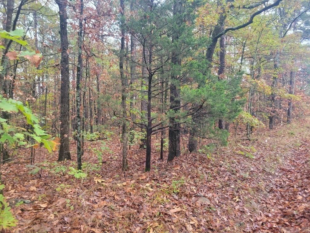 Pine Hills Estates - Land