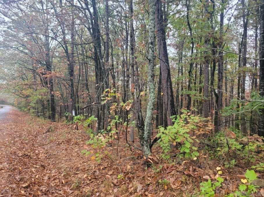 Pine Hills Estates - Land