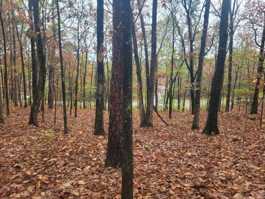 Beautiful 2.85 acres of prime land. Very buildable for the dream home or retirement get away. With Greers Ferry just minutes away you will have access to all amenities that one could want including Dining or shopping, also the Beautiful Greers Ferry Lake is just minutes away and the end of the road.