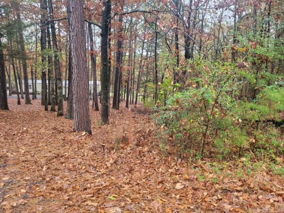 Pine Hills Estates - Land