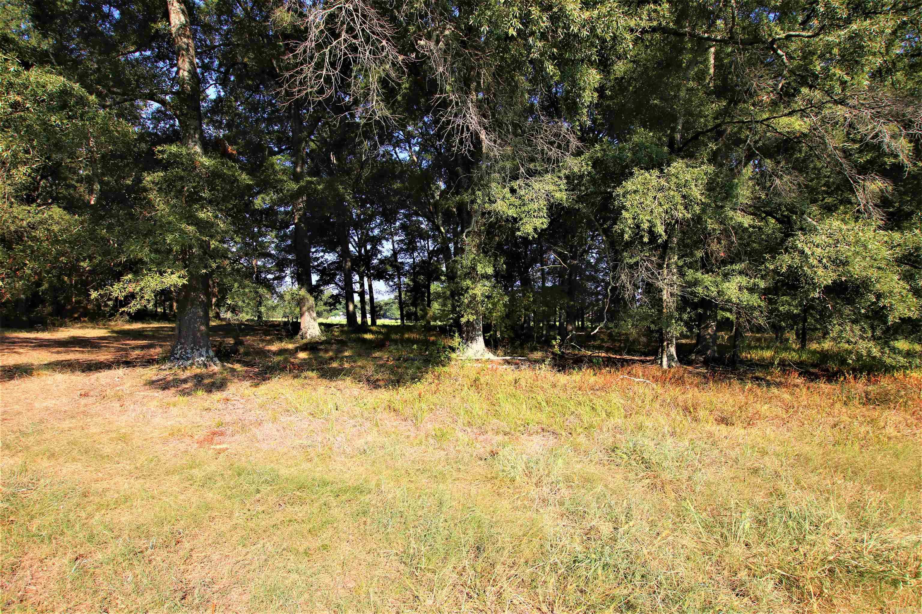 Not in Subdivision - Land