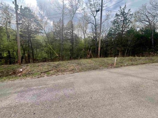 TBD RAINBOW DRIVE, HARDY, AR 72542 - Image cd950bfccb6026086a4690e28f8f4757/3610528958
