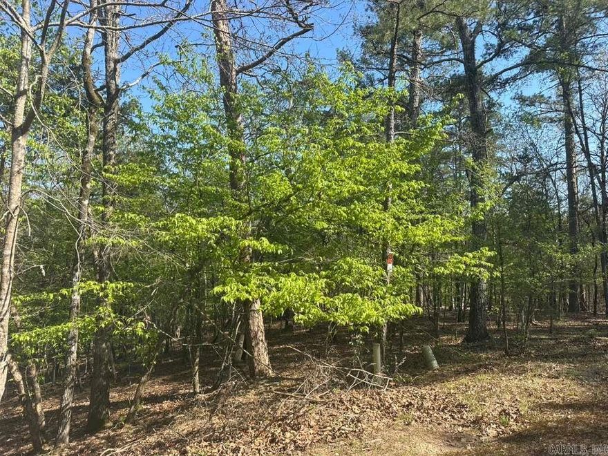 vacant land. The lot dimensions are 53x151x85x168x41x14