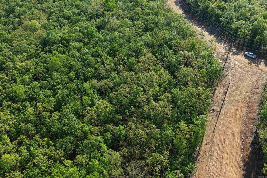 Introducing Seven Lakes Ranch Estates ~ a premier gated acreage community redefining luxury country living in the Conway area. Set against breathtaking views of Lake Conway and Pinnacle Mountain, this exclusive development features seven stocked lakes, scenic nature trails, rolling topography, and abundant wildlife. Each 3–5 acre homesite offers the privacy and space you’ve been searching for, complete with paved roads, a gated entrance, and available utilities. Perfectly positioned just 10 minutes from I-40 in Mayflower, 15 minutes from downtown Conway, and approximately 25 minutes from West Little Rock and Cabot, Seven Lakes Ranch Estates delivers both tranquility and convenience. With community-wide road paving planned for summer 2026, and a 2,400 sq. ft. minimum for this lot, you’re invited to bring your builder—or work with one of ours—to craft a custom home that fits your vision.  **Owner financing is available.**