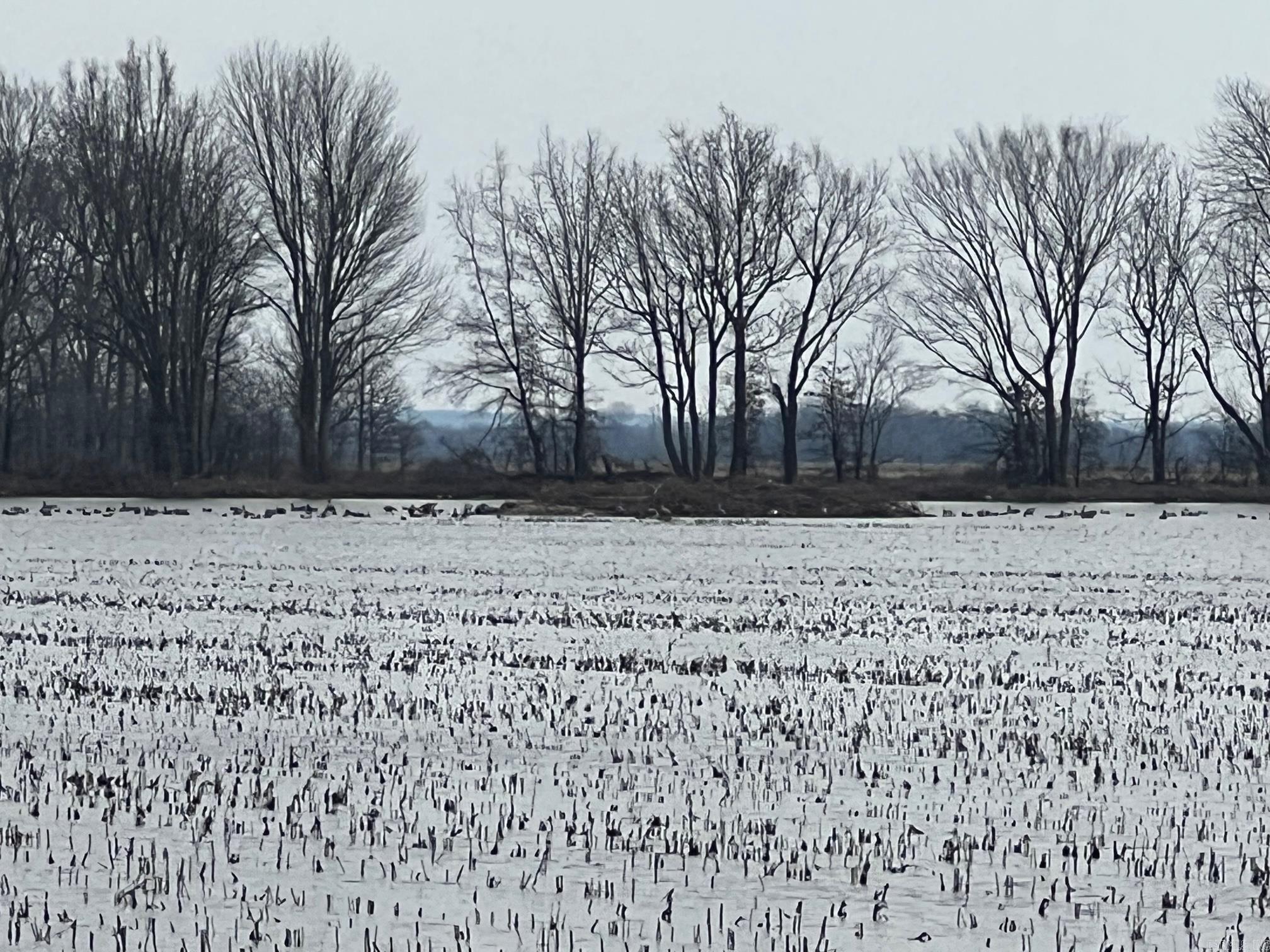 Metes & Bounds - Farm