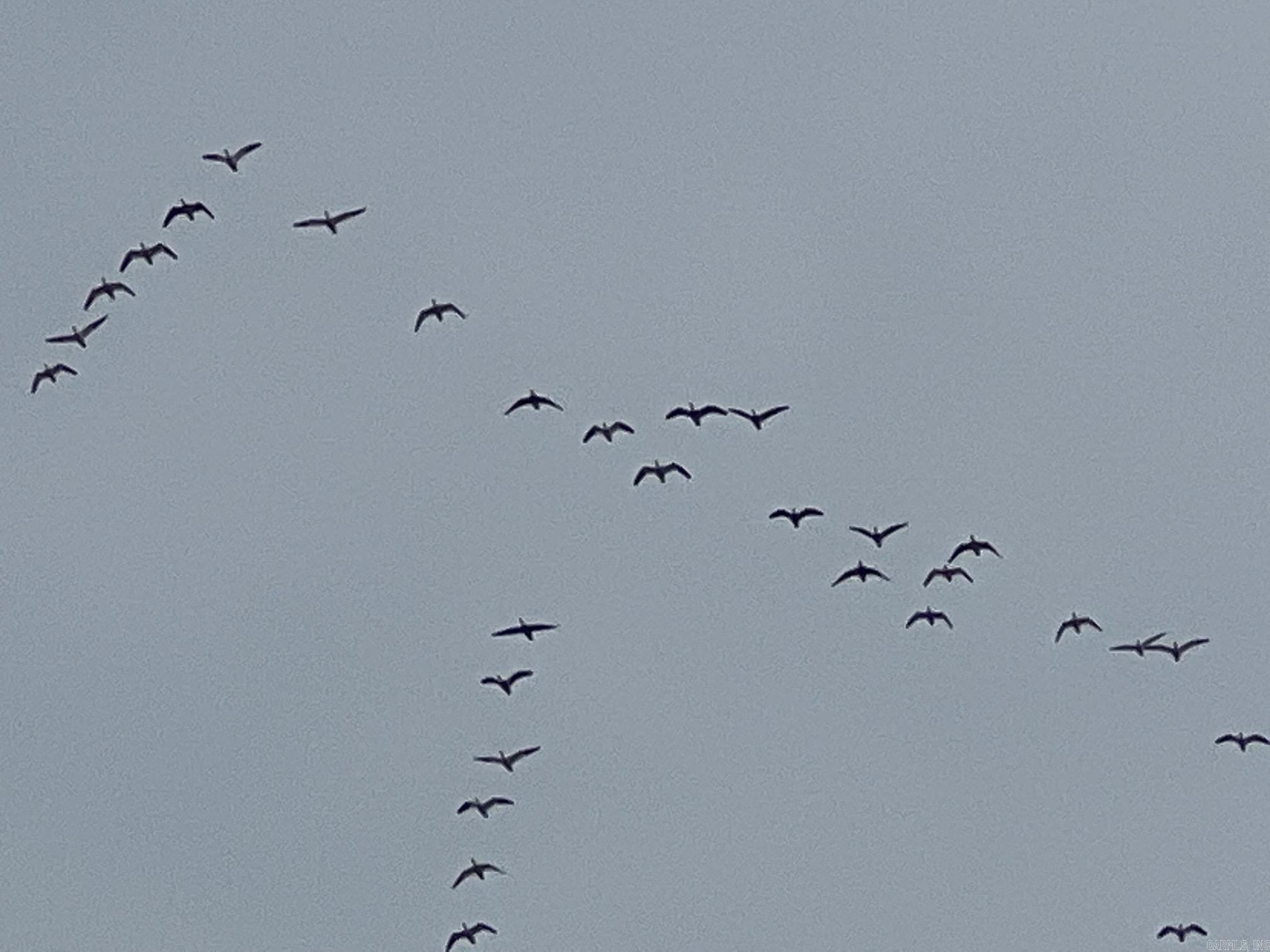 Metes & Bounds - Farm