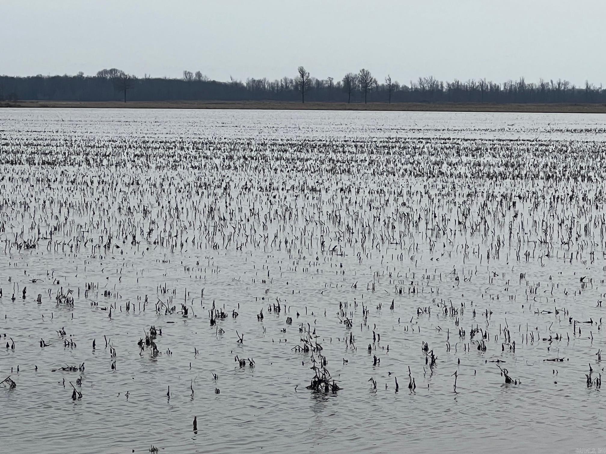 Metes & Bounds - Farm